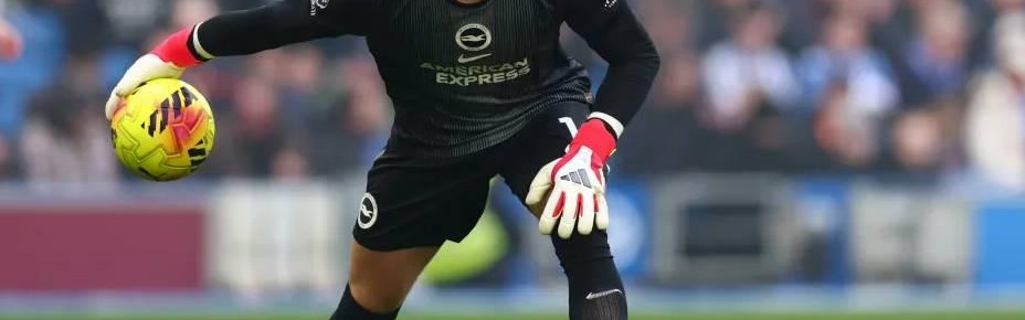 talkSPORT：若保级热刺可能签费布鲁亨，德泽尔比仍很欣赏他