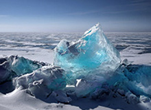 世界杯客户端下载安装-终结者没绝杀也靠谱 有他在国安冲亚冠最佳有底气